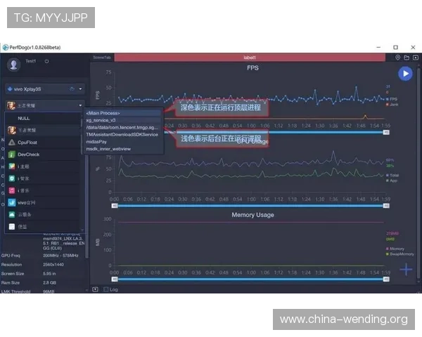 问鼎平台官网网址安全访问指南，教你识别正规官网，保障个人信息安全与游戏体验