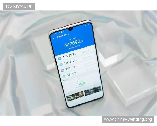 问鼎旗舰厅官方地址安全验证流程，确保每次访问都安全可靠